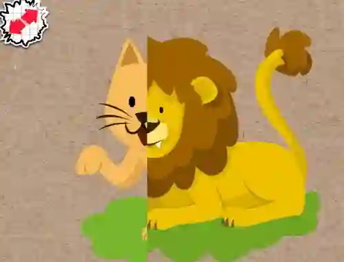 Match Animals — free online game