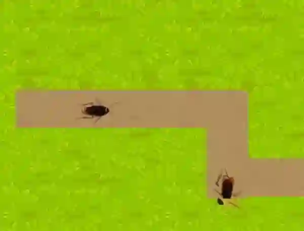 Insect Crusher — free online game