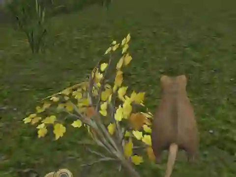 Laro Forest Mouse online