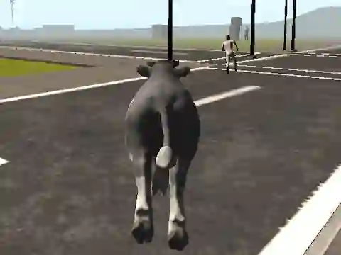 Crazy Bull City — free online game