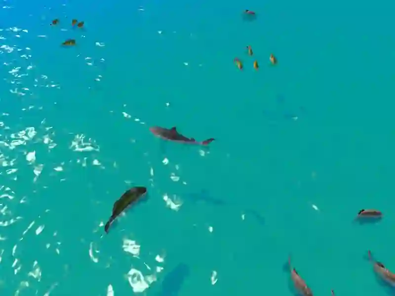 Hungry Shark Hunt — free online game