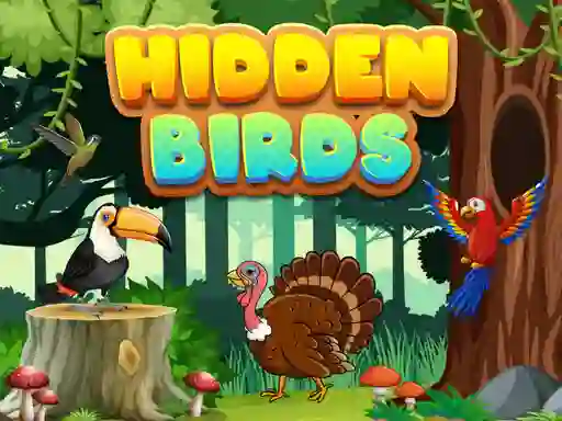 Hidden Birds — free online game