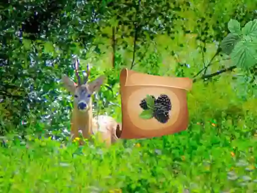 Return To Alsunga Forest — free online game