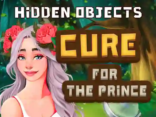 Hidden Objects Cure For The Prince — free online game