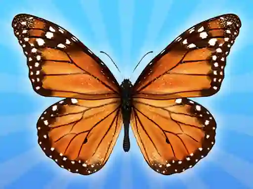 MergeButerfly: 2048! — free online game