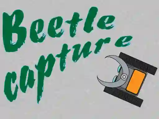 Beetle Capture — free online game