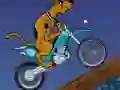 Scooby Doo Trail — free online game