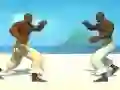 Capoeira fighter — free online game