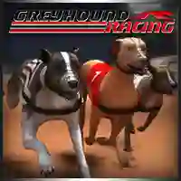 Greyhound Racing — free online game