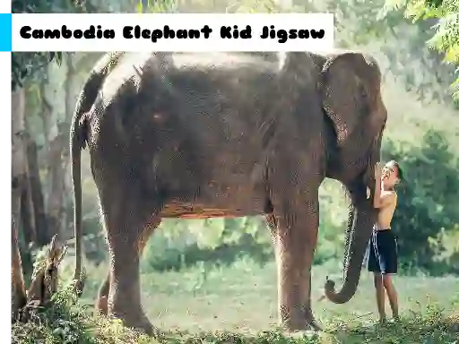Laro Cambodia Elephant Kid Jigsaw online