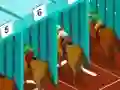 Derby racing — free online game