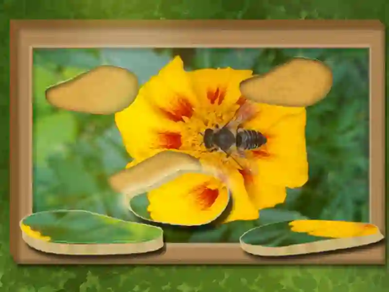 Find & Restore: Hidden Puzzle — jogo online grátis