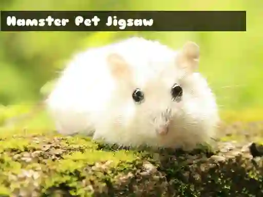 Hamster Pet Jigsaw — δωρεάν online παιχνίδι