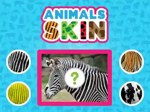 Animals Skin — 免費線上遊戲