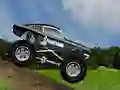 Crazy Mustang — free online game