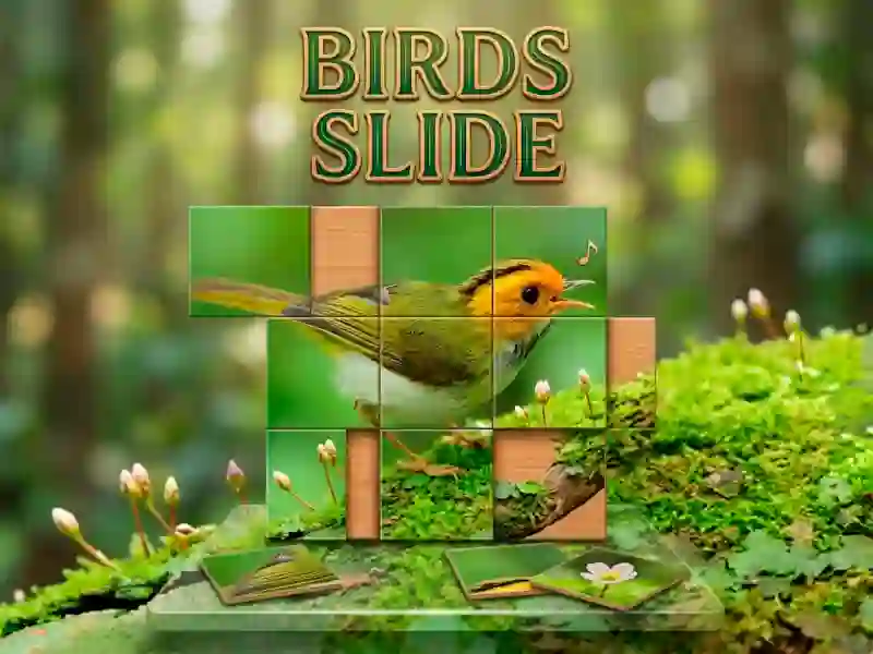 Játék Birds Slide online