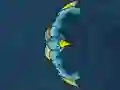 Dangers Of The Deep — free online game