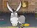 Donkey Gafoor — free online game
