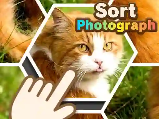 Sort Photograph — free online game