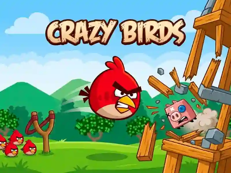 Spel Crazy Birds aanlyn