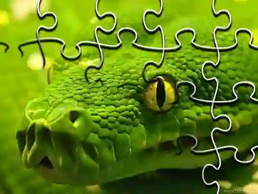 Snakes Jigsaw Puzzle — δωρεάν online παιχνίδι
