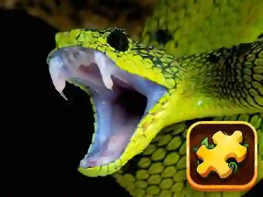 Snake Puzzle Challenge — free online game