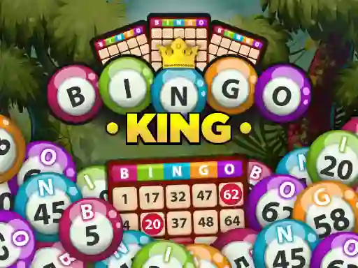 Bingo King — free online game
