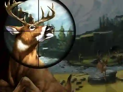 Deer Hunter — free online game