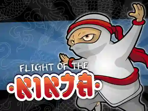 Flight Of The Ninja — free online game
