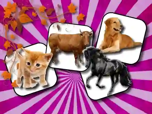 Domestic Animal Memory Challenge — free online game