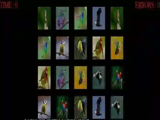 Memorize the birds — free online game