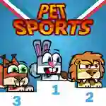 Pet sports — free online game