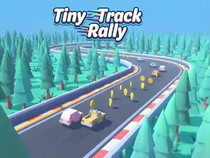 Tiny Track Rally — game online gratis