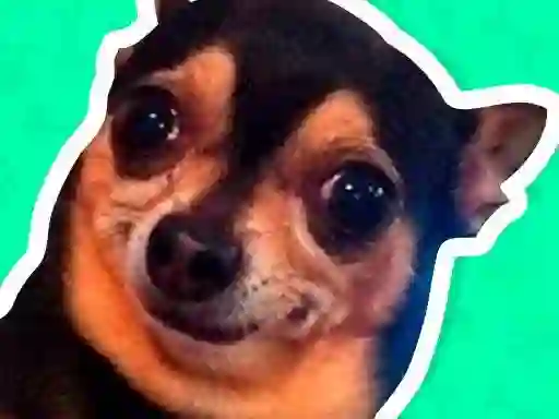 What meme dog are you ? — free online game