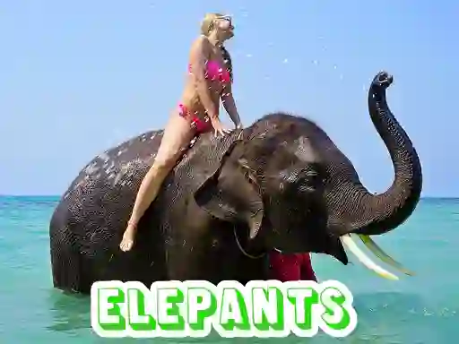 Elephants Puzzle — free online game