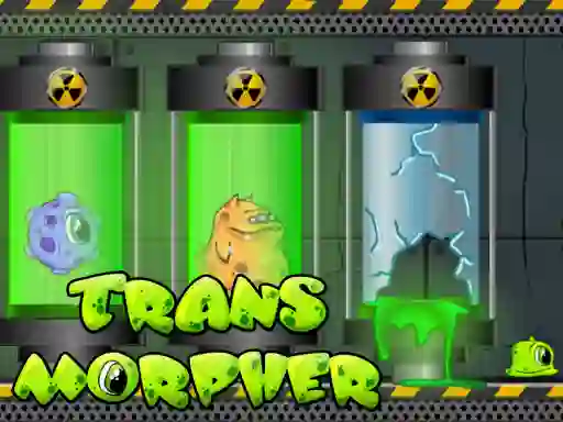 Ttransmorpher — free online game