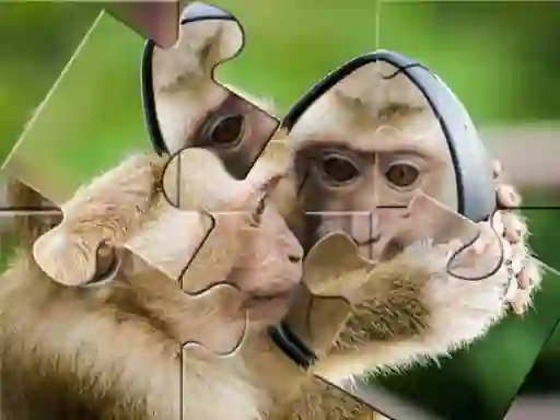 Chimpanzee Jigsaw เกมออนไลน์