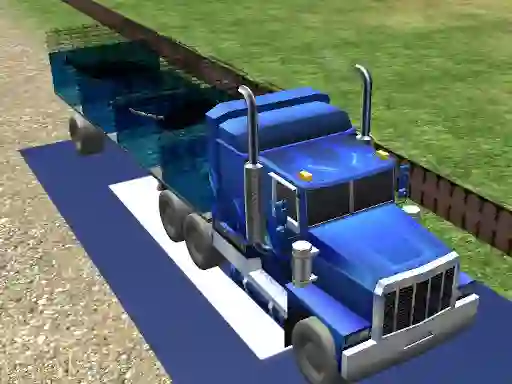 Sea Animal Transport — free online game