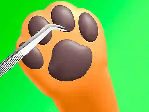 Paw Care — free online game