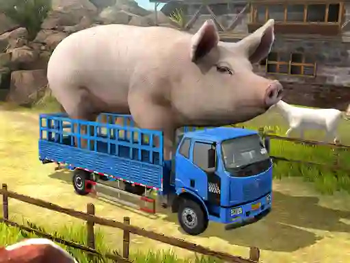 Driver Master Simulator — free online game