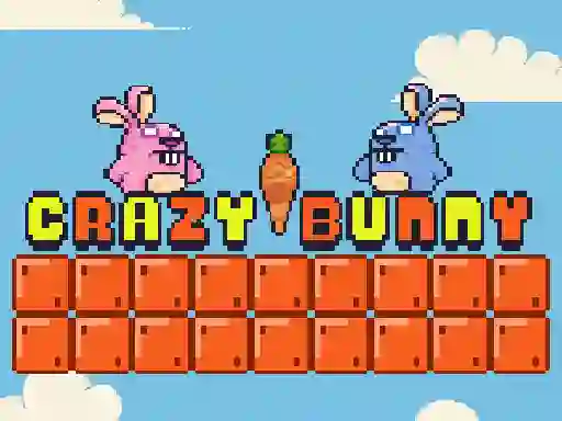 Crazy Bunny — free online game