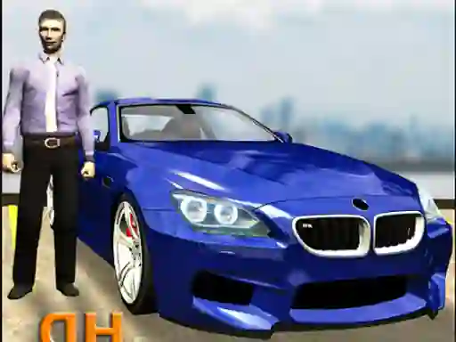Real Car Parking Hero — free online game