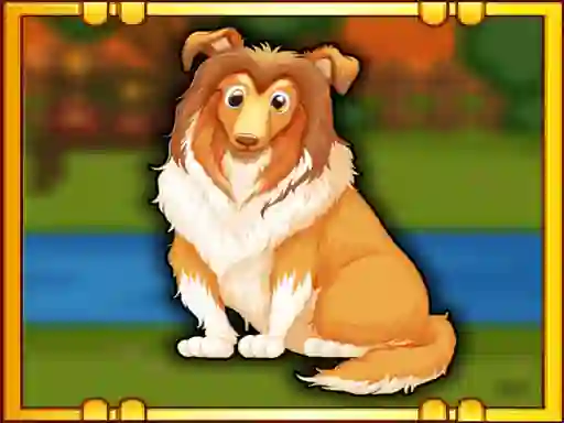 Bernese Mountain Dog Escape — free online game