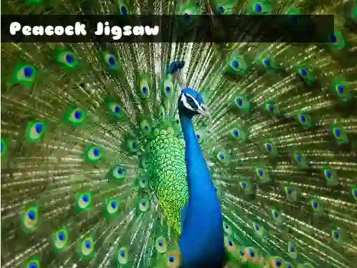 Гаме Peacock Jigsaw онлајн
