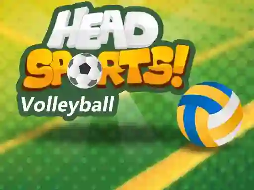 Hra Head Sports Volleyball