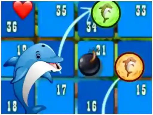 Dolphin Dice Race — free online game