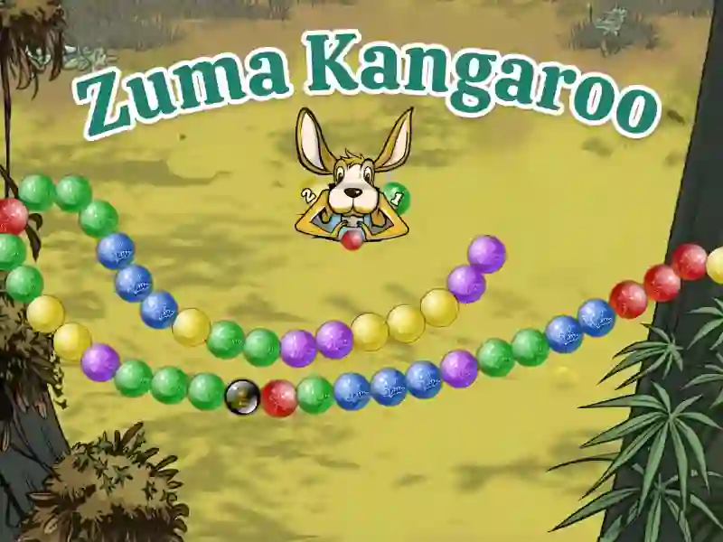 Zuma Kangaroo