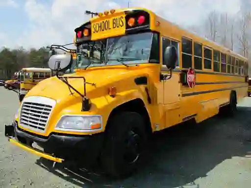 School Buses Puzzle — free online game