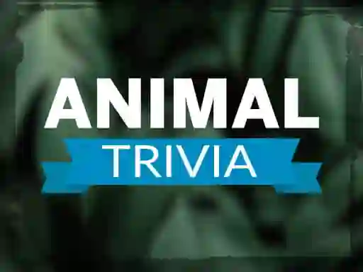 Animal Trivia — free online game