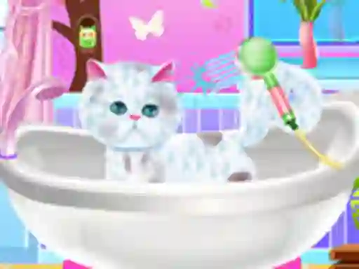 Excellent Pet Groomer — free online game